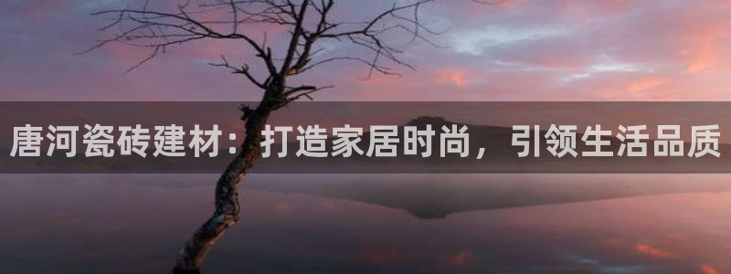 杏鑫娱乐官方网站客户端