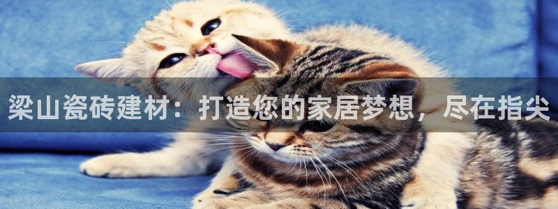 杏鑫平台怎么样黑钱吗是真的吗知乎