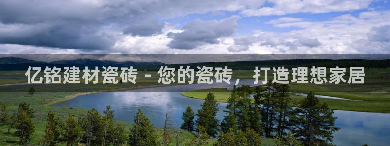 杏鑫3主管