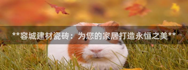 杏鑫平台招商电话号码