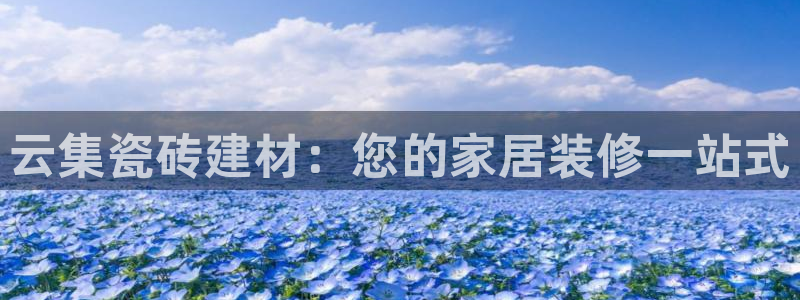 杏鑫平台招商电话号码查询