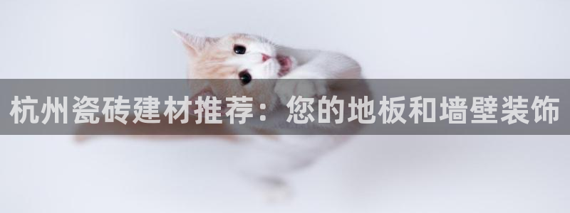 杏鑫平台代理注册多少钱一个