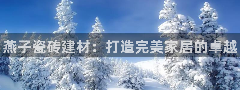 杏鑫3主管
