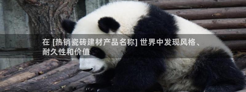 杏鑫平台代理怎么样赚钱