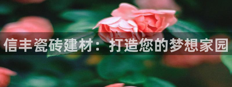 杏鑫平台代理注册流程及费用