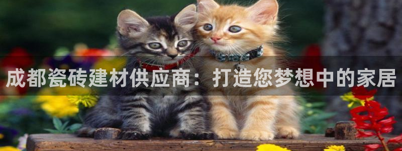 杏鑫平台正规吗