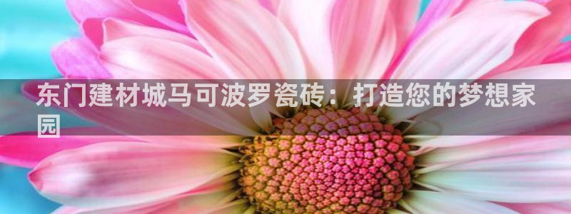 杏鑫娱乐官方网站客户端下载安装