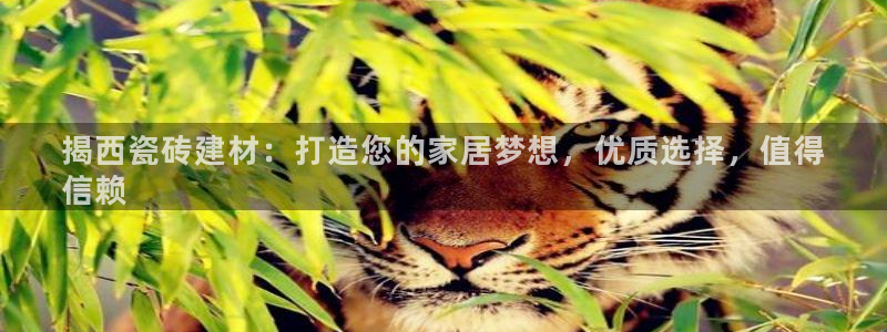 杏鑫平台注册登录