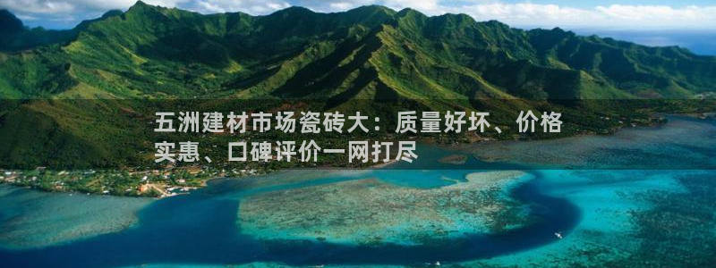 杏鑫代理注册资金多少