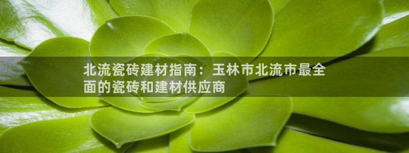 杏鑫官方平台怎么样啊可靠吗