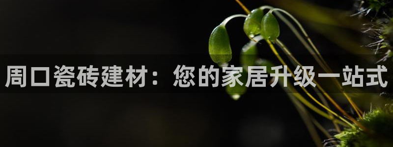 杏鑫官网注册账号密码是什么