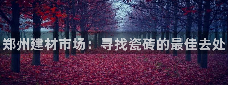 杏鑫平台下载安装