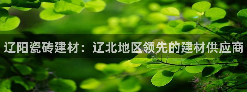 杏鑫平台怎么样黑钱吗安全吗可靠吗