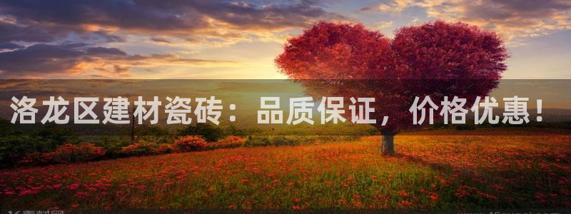 杏鑫平台广7O777
