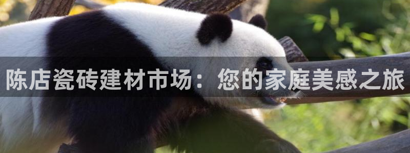 杏鑫平台野马联盟