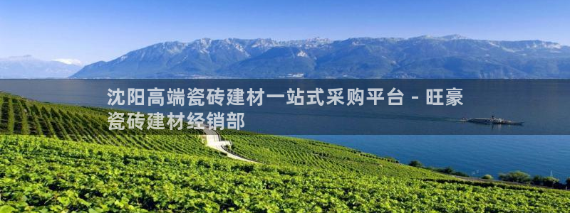 杏鑫官方平台怎么样