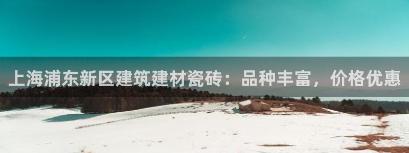杏鑫平台代理怎么做的