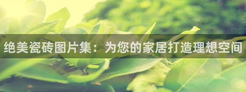 杏鑫手机客户端