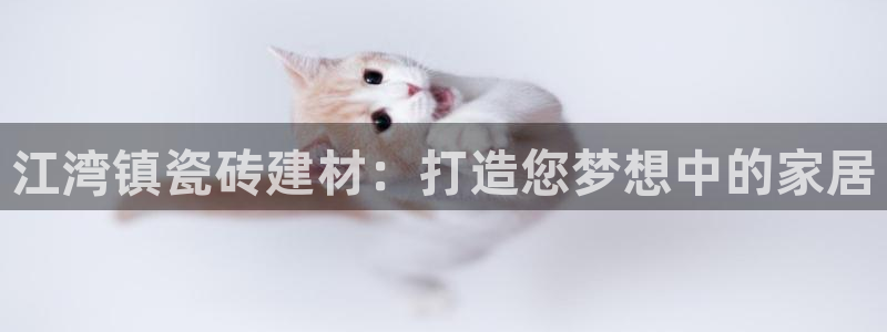 杏鑫平台代理注册流程及费用