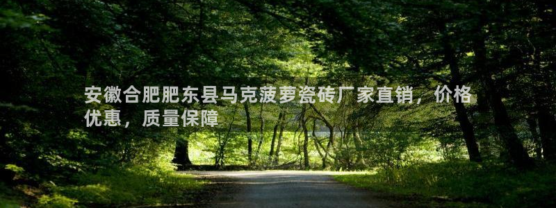 杏鑫官网最新信息