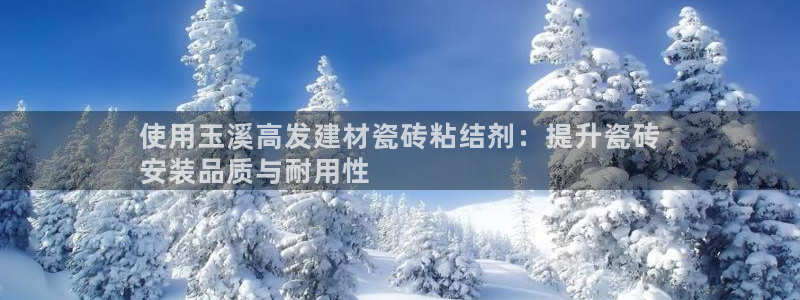 杏鑫代理注册登录