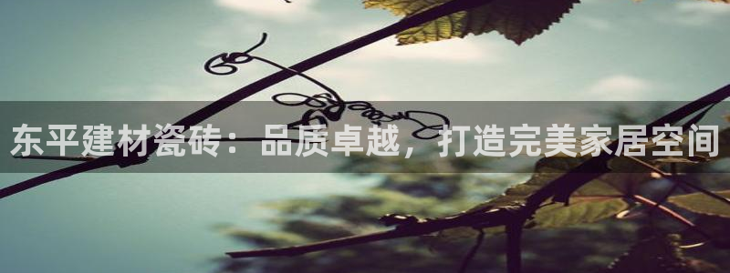 杏鑫平台代理怎么做