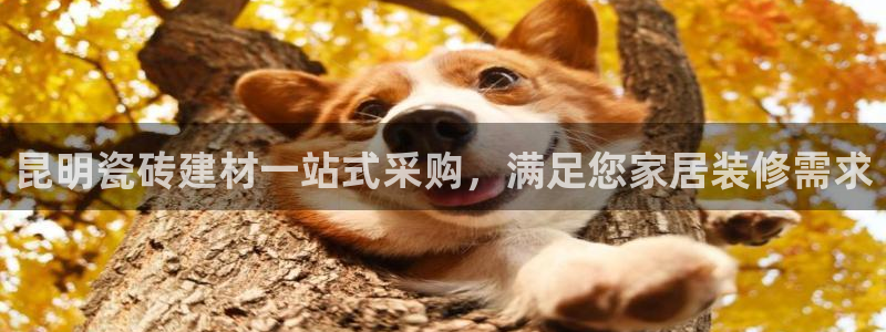 杏鑫娱乐官网首页