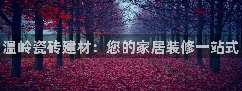 杏鑫娱乐官方网站客户端