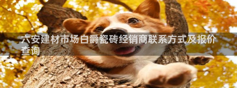 杏鑫平台野马联盟