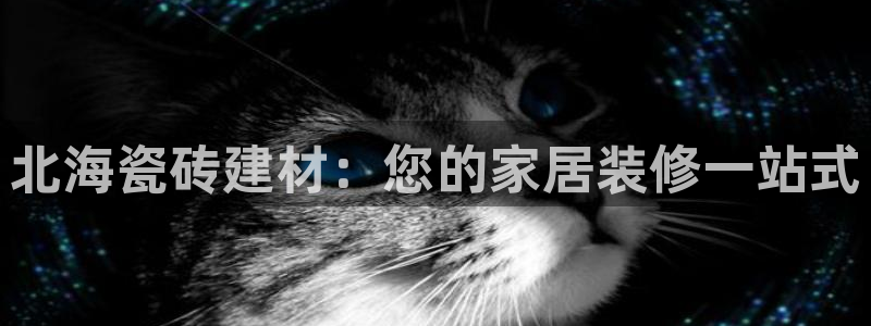 杏鑫平台代理注册流程图