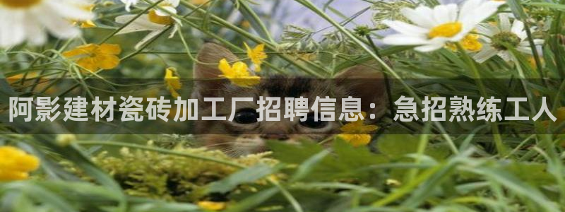 杏鑫官网注册账号怎么注册不了