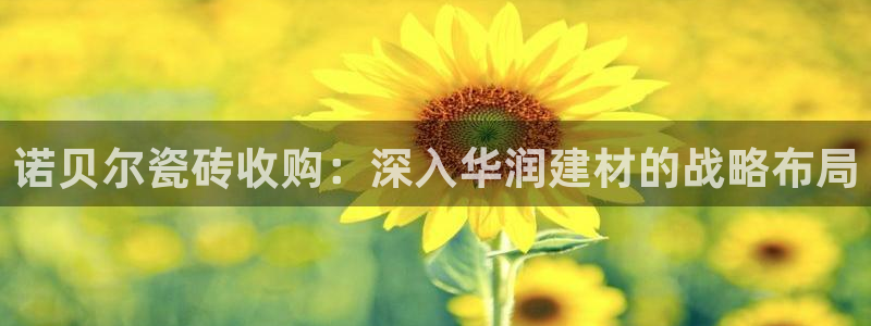 杏鑫平台怎么样知乎