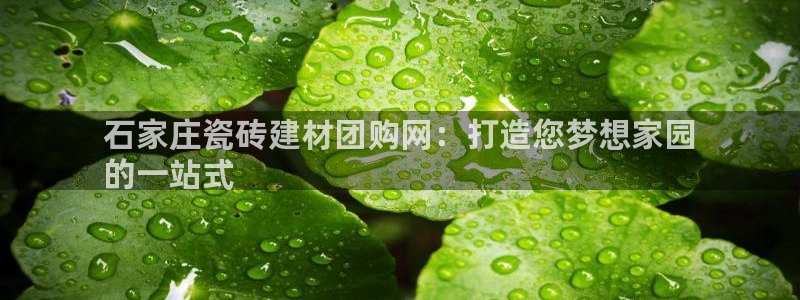 杏鑫注册登录网