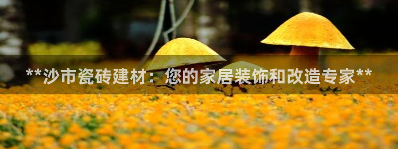 杏鑫娱乐-官方网站