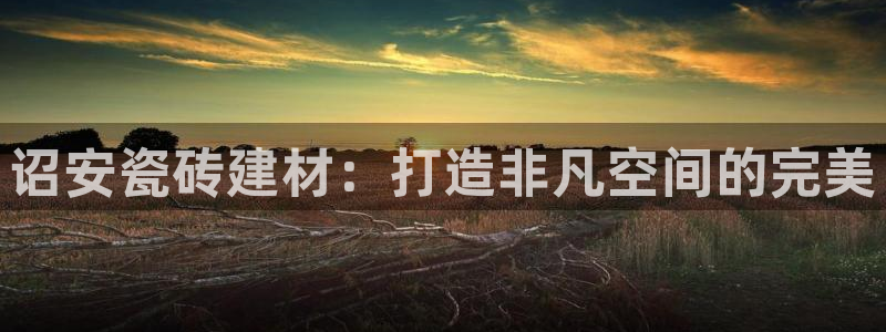 杏鑫官方平台怎么样