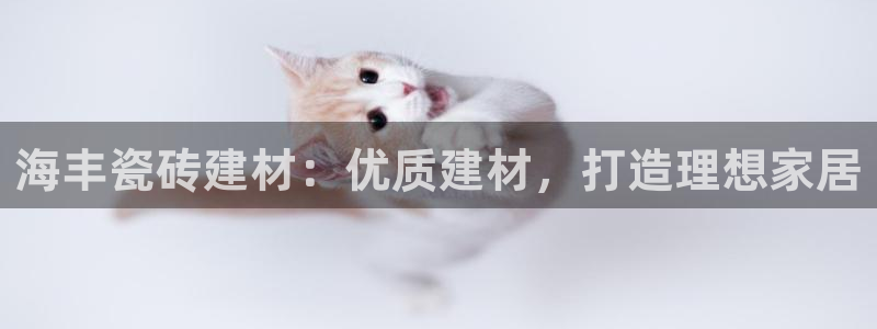 杏鑫平台招商电话是多少