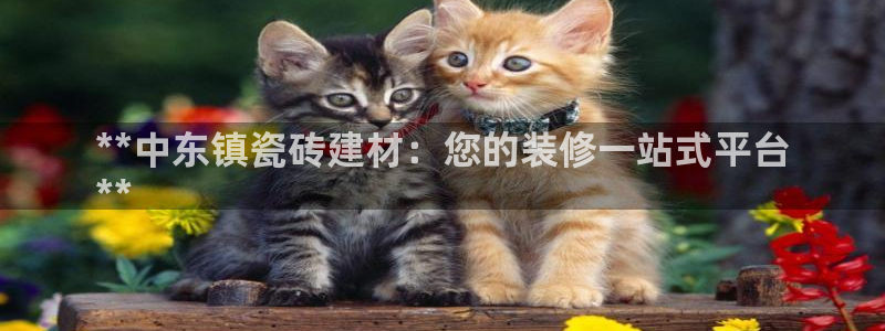 杏鑫平台代理怎么样赚钱