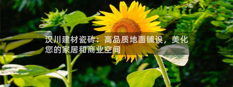 杏鑫官网注册账号密码是什么