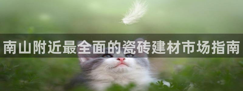 杏鑫平台代理注册多少钱一个