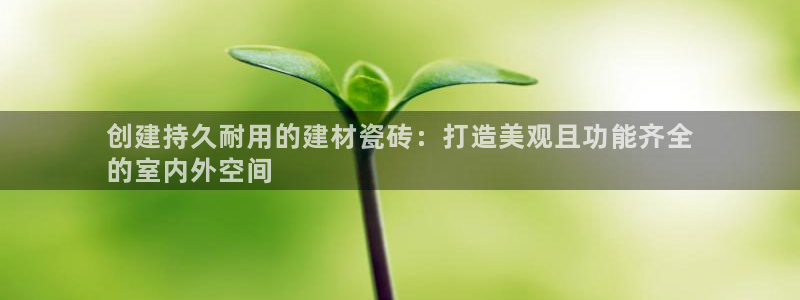 杏鑫官方平台怎么样啊