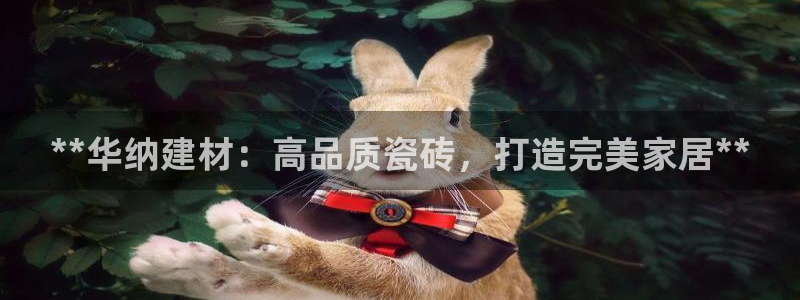 杏鑫平台平台