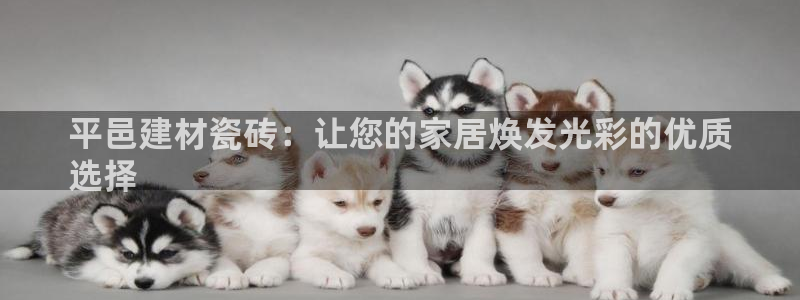 杏鑫娱乐官网