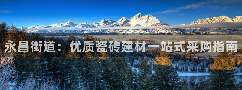 杏鑫登录注册测速