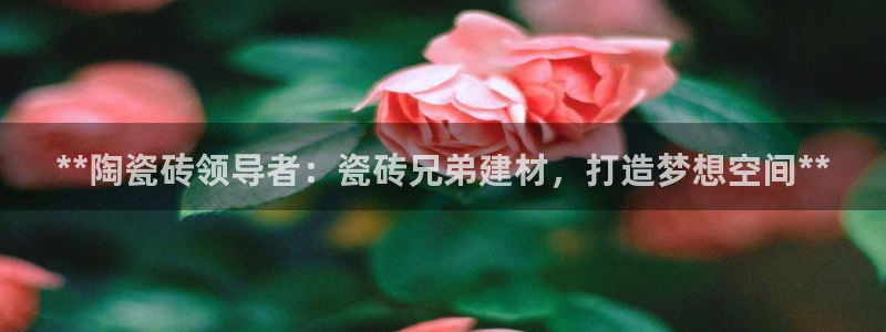 杏鑫官方平台怎么样可靠吗