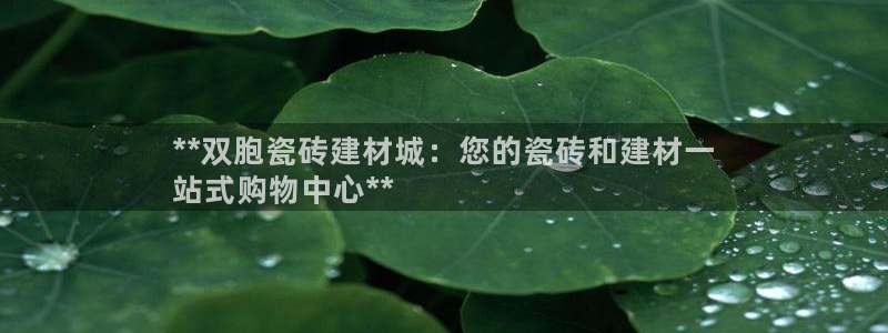 杏鑫官网注册账号密码忘了