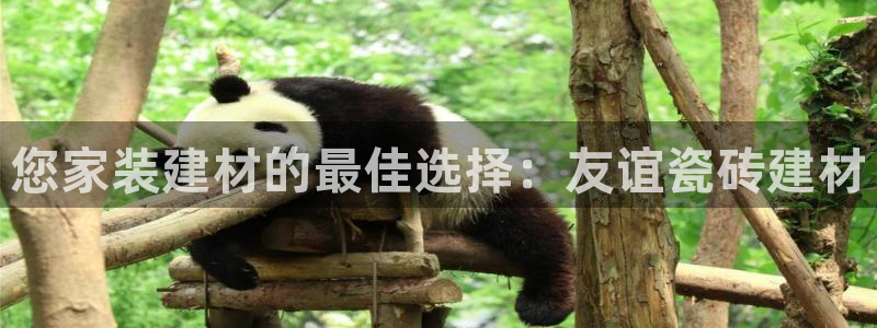 杏鑫平台登录地址是什么