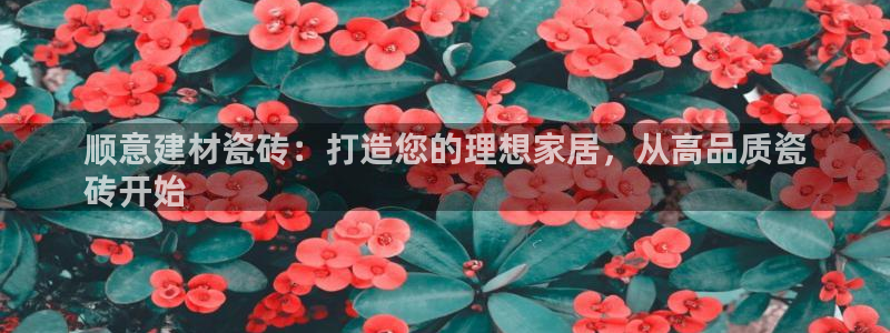 杏鑫娱乐怎么下