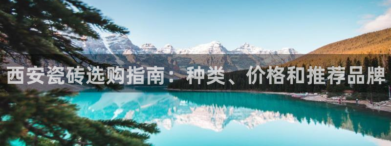 杏鑫平台广7O777