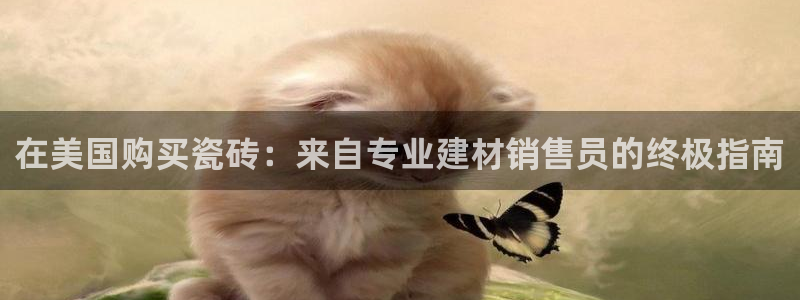 杏鑫平台代理注册多少钱啊