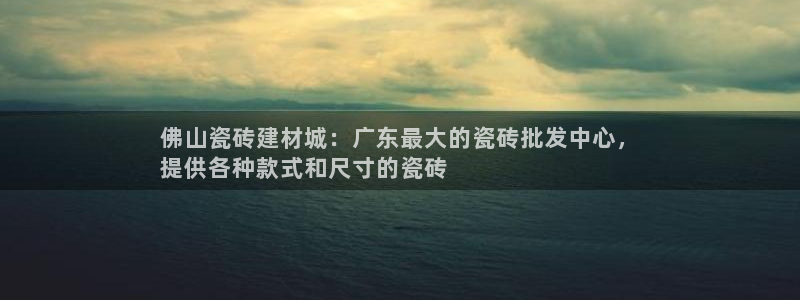 杏鑫代理注册资金多少
